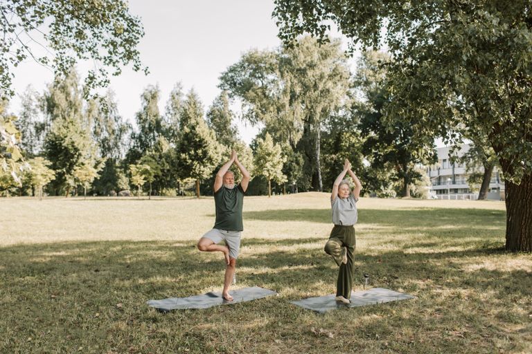 Elderly couple performing yoga in a sunny park, enhancing health and mindfulness.