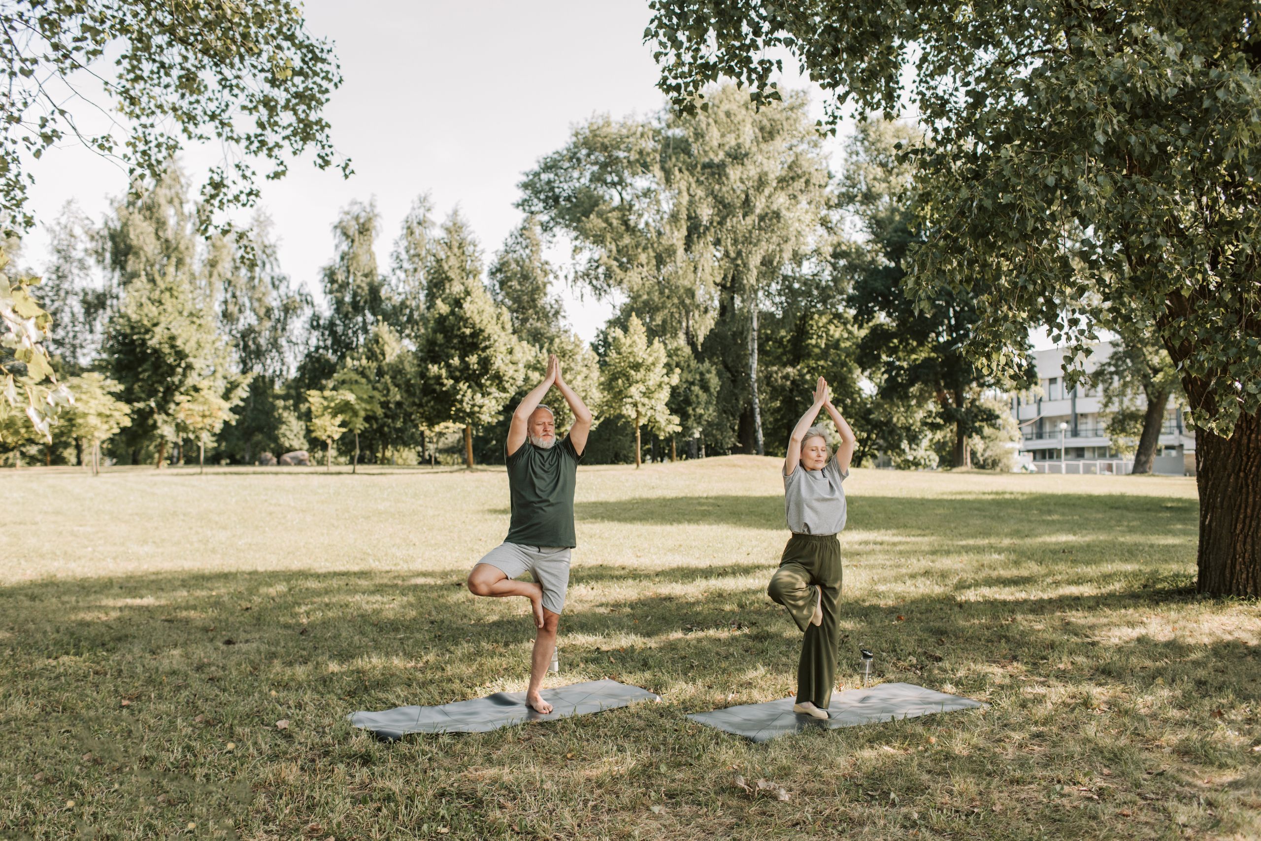 Elderly couple performing yoga in a sunny park, enhancing health and mindfulness.