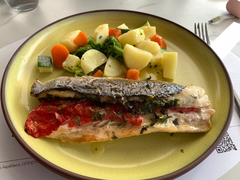 Grilled fish served with a side of colorful mixed vegetables on a plate.