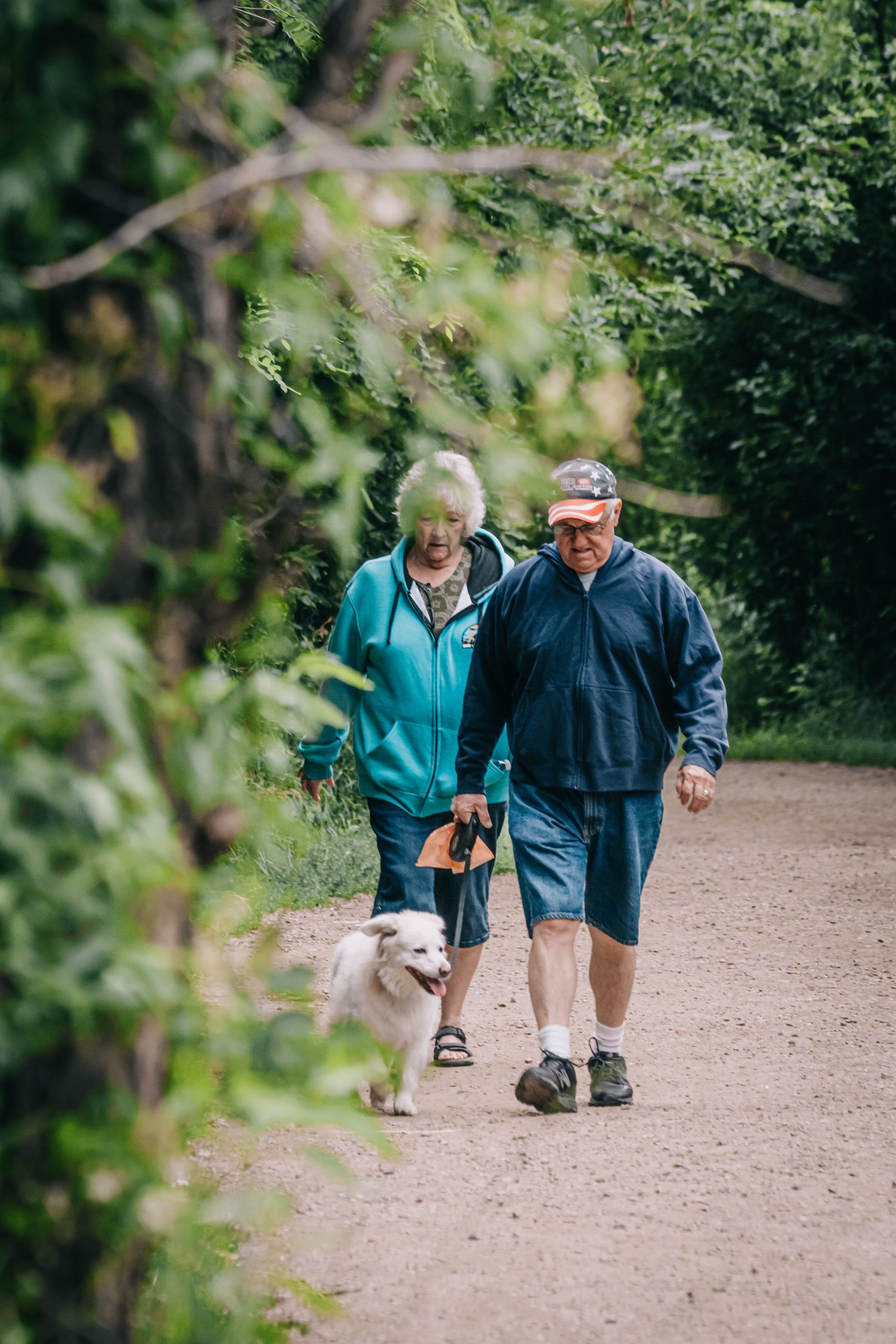 An elderly couple strolling with their pet dog in a scenic green park on a pleasant day.