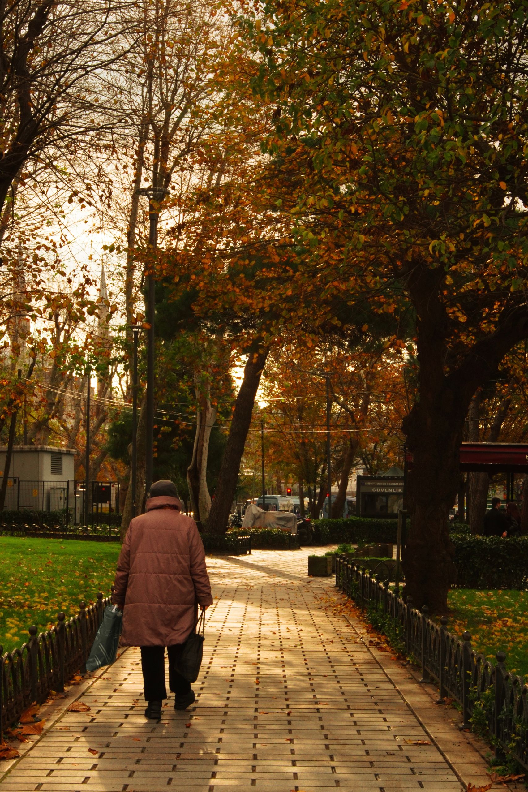 Senior woman strolling through a sunlit autumn park, surrounded by colorful foliage.